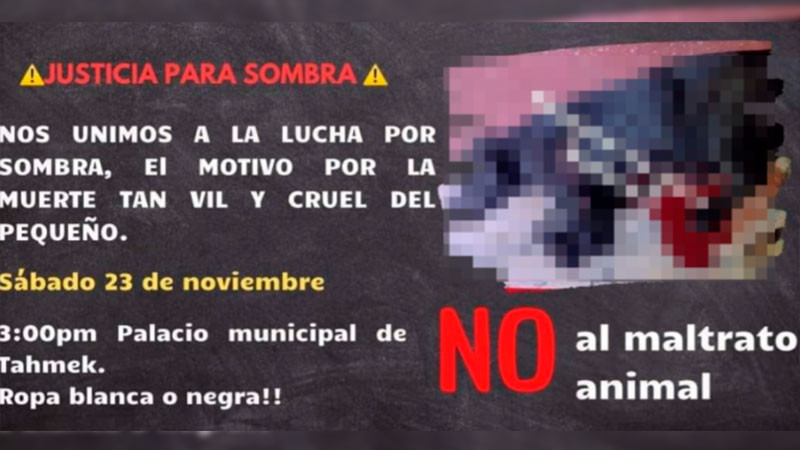 Activistas denuncian maltrato animal en Tahmek, YucatÃ¡n