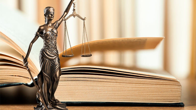 Senado llaman a mujeres a participar en proceso de elecciÃ³n judicial 