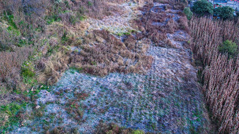 Se esperan bajas temperaturas y heladas en CDMX; activan Alerta Roja