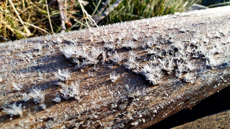 Se registran temperaturas de hasta -5 grados centÃ­grados en Coahuila