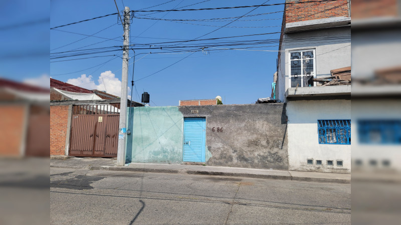 Solicitan rescate de perros y gatos abandonados en inmueble de la colonia Industrial, en Morelia