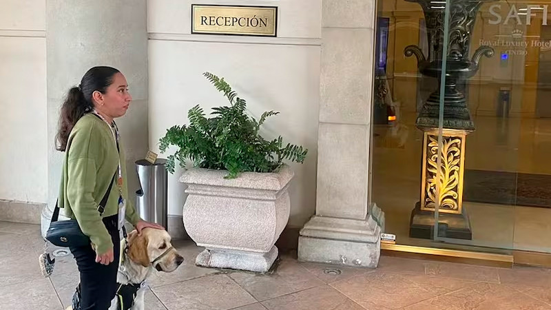 Joven con discapacidad visual denuncia discriminaciÃ³n en hotel de Monterrey por no dejarla entrar con su perro guÃ­a