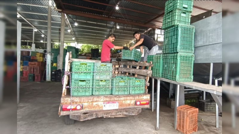 Se conformarÃ¡ Consejo Regulador del LimÃ³n en MichoacÃ¡n