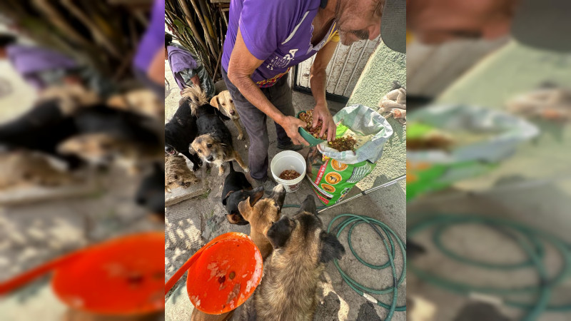 Pancitas Llenas: Una noche de amor y esperanza para mÃ¡s de 2 mil almas peludas