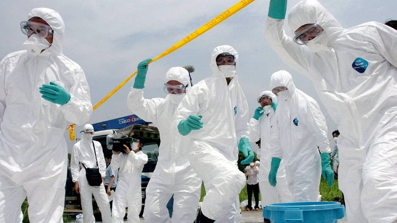 JapÃ³n sacrifica miles de pollos en combate a la gripe aviar