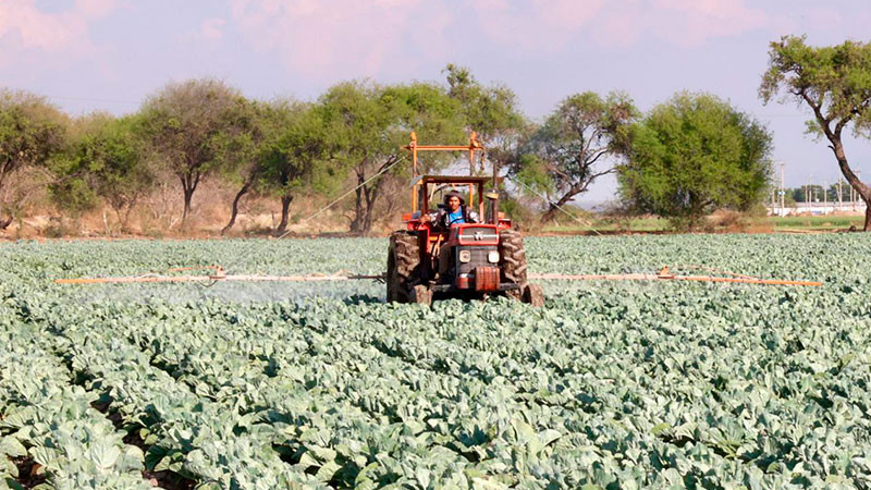 Incremento de mÃ¡s de 700% del saldo comercial agropecuario refleja la riqueza del campo nacional: SONAFI