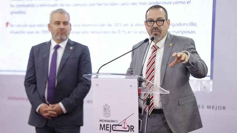 MichoacÃ¡n cumple compromiso internacional en cuidado de la mariposa monarca