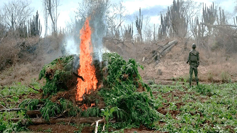 Estas son las acciones mÃ¡s recientes del gabinete de seguridad del Gobierno federal 