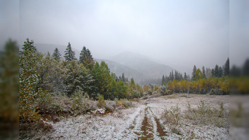 Frente frÃ­o 24 provocarÃ¡ heladas y lluvias en estos estados 