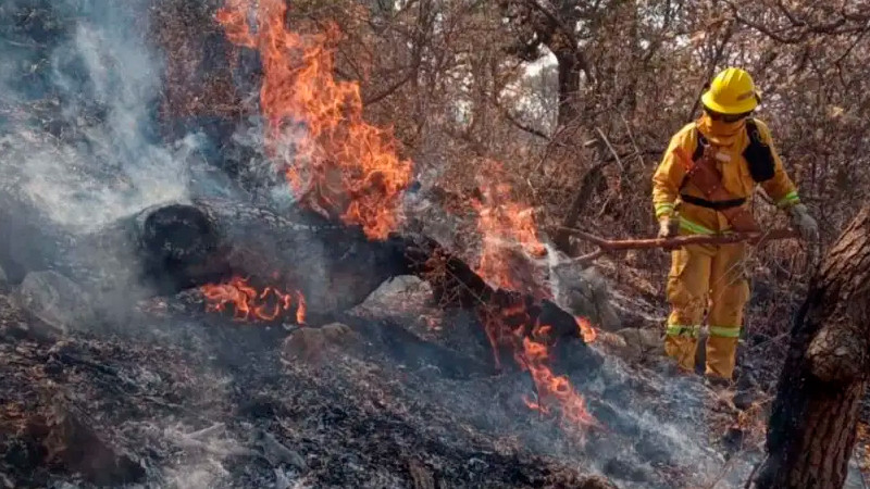 Conafor advierte que hay condiciones que favorecerÃ¡n incendios; prepara 14 mil combatientes