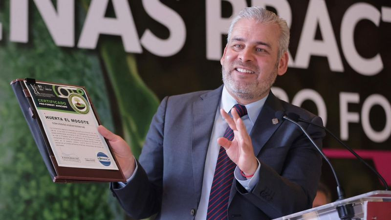 Comunidades indÃ­genas, ejemplo en certificaciÃ³n de huertas de aguacate: Bedolla