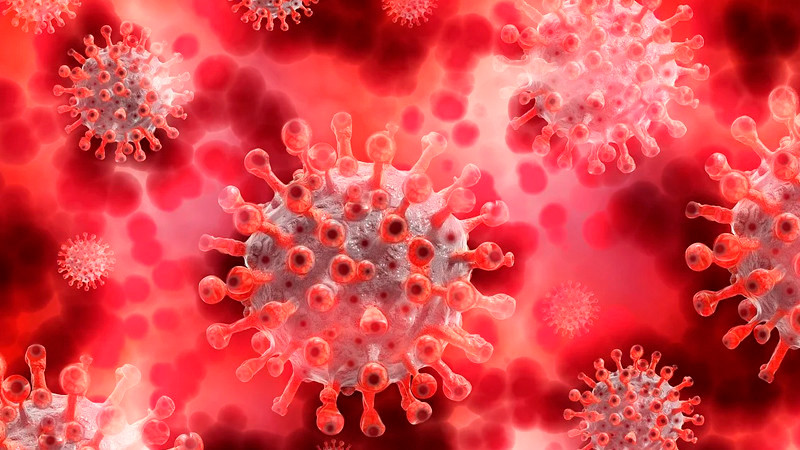 SarampiÃ³n se extiende a 9 estados de EEUU