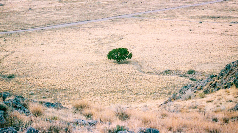 Sureste de MÃ©xico requiere inversiÃ³n de 17 mil mdp para atender crisis hÃ­drica