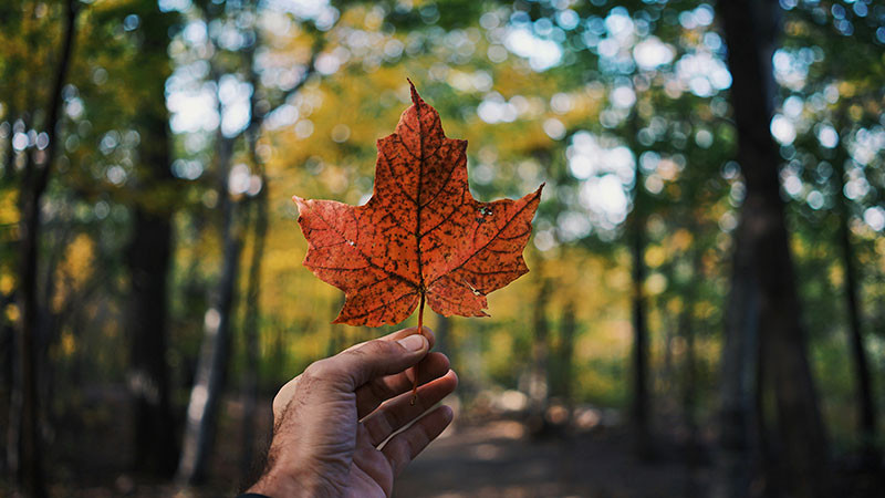 Los canadienses ya se la verÃ¡n mÃ¡s difÃ­cil para entrar y permanecer: Estados Unidos