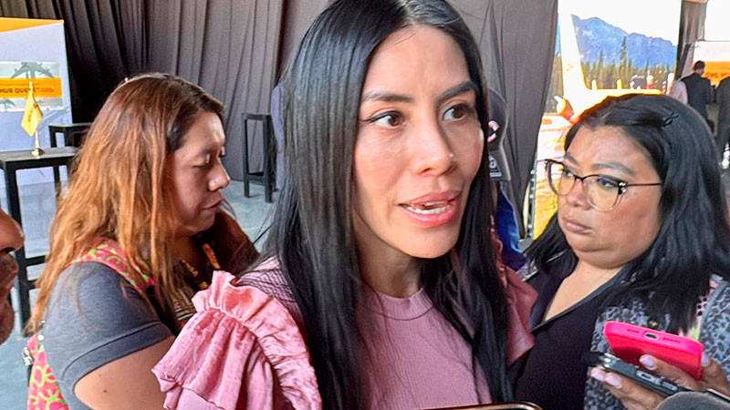 AÃºn en revisiÃ³n huelga de Cadereyta de Montes: Liliana San MartÃ­n