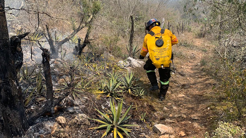 Mantiene CoordinaciÃ³n Estatal de ProtecciÃ³n Civil de QuerÃ©taro labores coordinadas para atender incendio forestal en La Tinaja