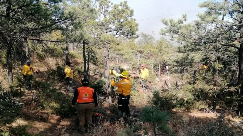 Se encuentran activos 9 incendios forestales en Chihuahua
