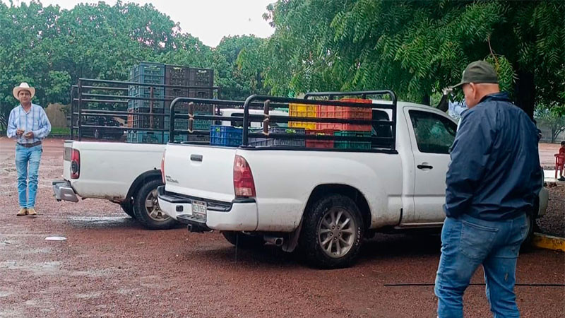 Sin gente, sin producciÃ³n , ApatzingÃ¡n se convirtiÃ³ en pueblo fantasma, denuncia regidoraÂ 