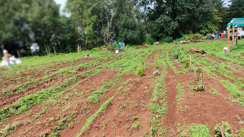 Crisis hÃ­drica en MÃ©xico: la urgencia de adaptar la agricultura para garantizar agua y alimentos