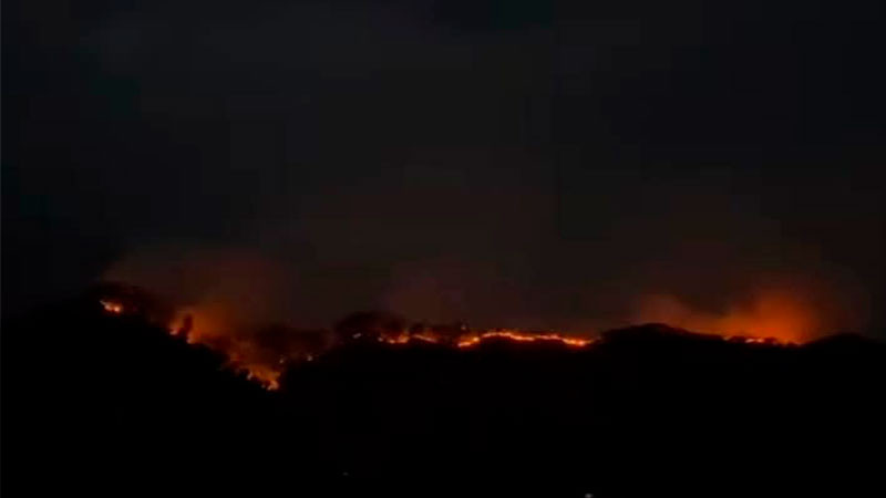 Consume mÃ¡s de 100 hectÃ¡reas de bosque fuerte incendio en el Tepozteco