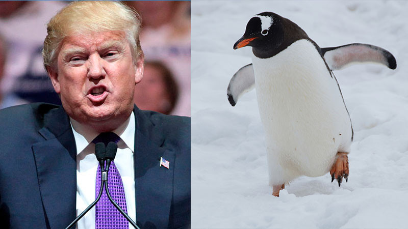 Trump aplicÃ³ aranceles a islas donde sÃ³lo hay pingÃ¼inos