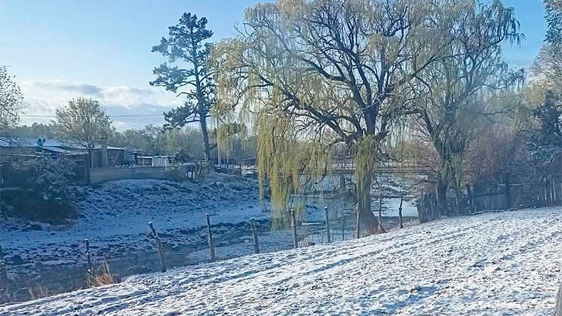Se registran nevadas por el frente frÃ­o nÃºmero 37 en Ciudad Madera, Chihuahua