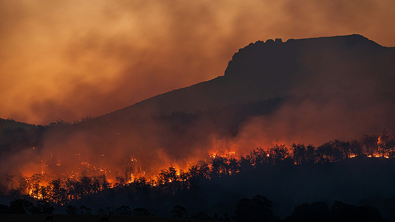 Diputada propone agravar penalizaciones a quienes generen incendios forestales