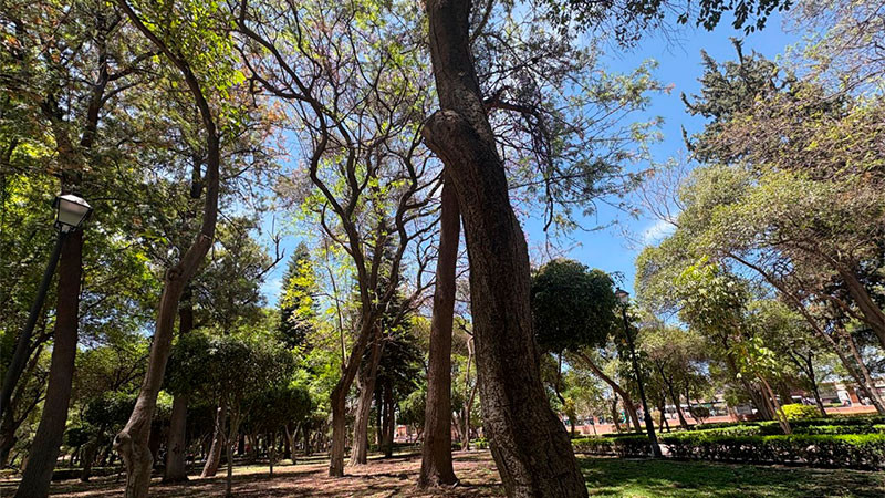 IniciarÃ¡ en mayo el Programa Reverdecer QuerÃ©taro