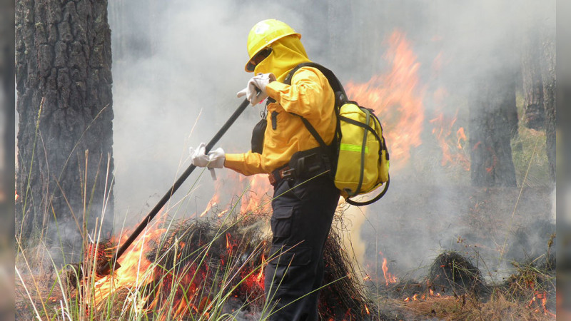 Van mÃ¡s de 2 mil incendios forestales con una superficie afectada de 216, 270 hectÃ¡reas en todo el paÃ­s
