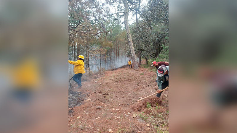 A travÃ©s de Sello QuerÃ©taro, se compensaron 197 mil toneladas de gases de efecto invernadero en 2024