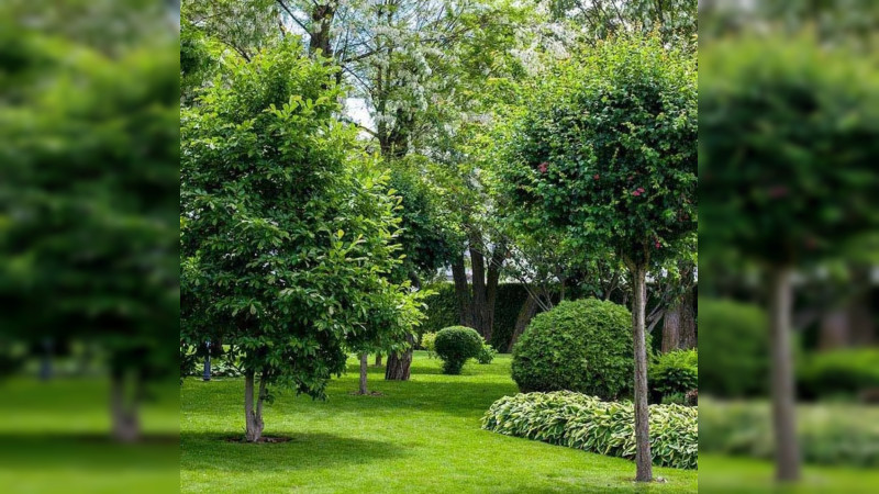 MÃ¡s de 4 mil familias afectadas por privatizaciÃ³n del acceso a El Mirador, en QuerÃ©taro