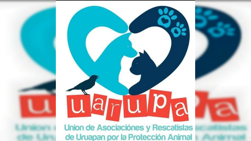 IndignaciÃ³n en Uruapan: hombre quita la vidaÂ a balazos a perro callejero; exigen a SSP capacitaciÃ³n urgente en crueldad animal