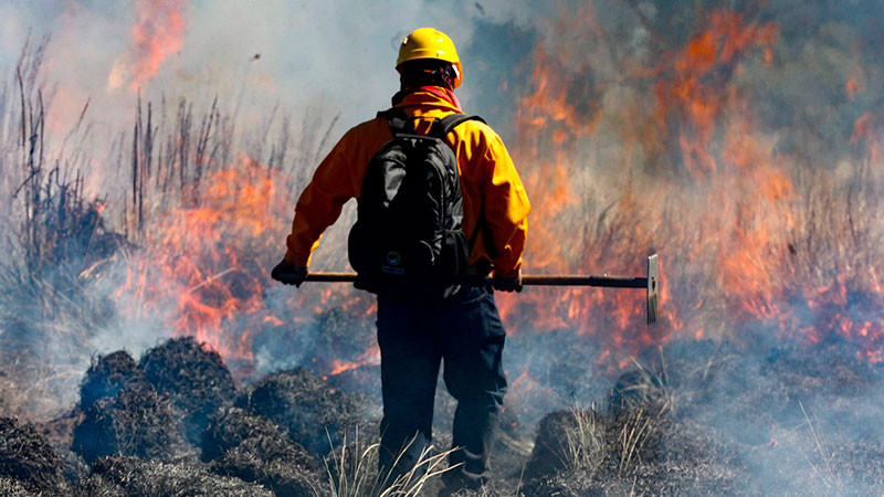 MÃ¡s de 95 mil hectÃ¡reas afectadas por 99 Incendios forestales activos en MÃ©xico