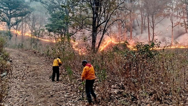 Brigadas atienden 3 incendios en Cotija, MaravatÃ­o y Tuxpan: Cofom