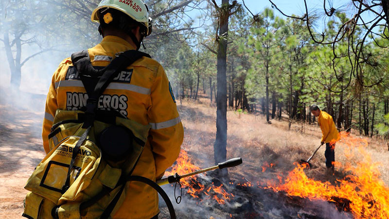 Brigadas atienden incendio forestal en Madero: Cofom