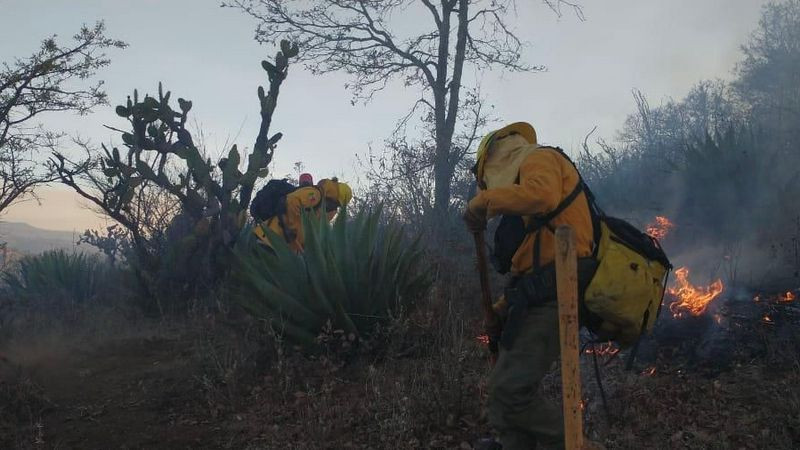 Brigadas forestales atienden 7 incendios y liquidan 2 mÃ¡s en MichoacÃ¡n
