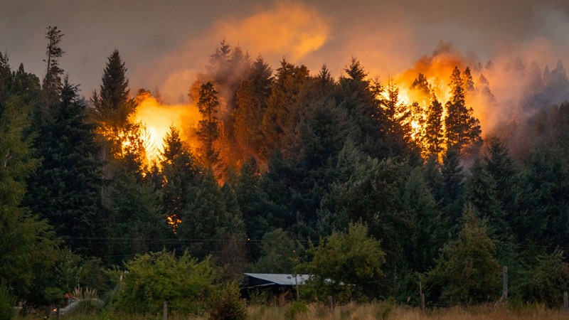 Disminuyen incendios a nivel global durante el 2025