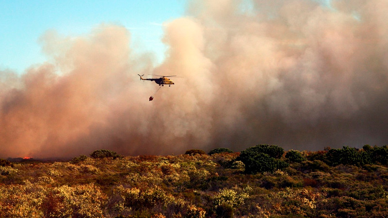 Se registran 122 incendios forestales activos en México; Michoacán entre los más afectados
