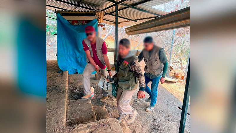 Santiago pidió a Profepa el decomiso de venados, ya no podía sostenerlos