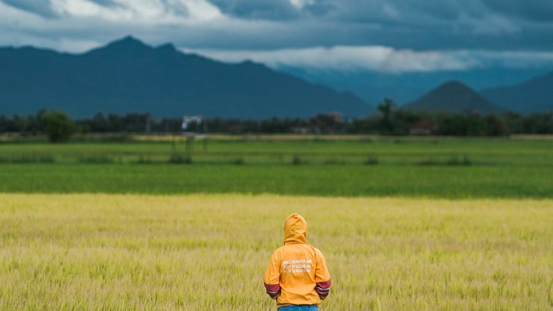 Sheinbaum reitera a Carney importancia del T-MEC y visas de trabajo para mexicanos