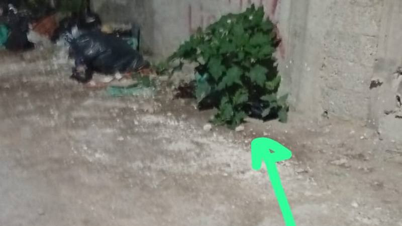 Abandonan a bebé al interior de una bolsa negra en el Estado de México