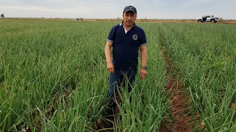 Productores agrícolas enfrentan embestida de demandas por adeudos con extinta Financiera Rural