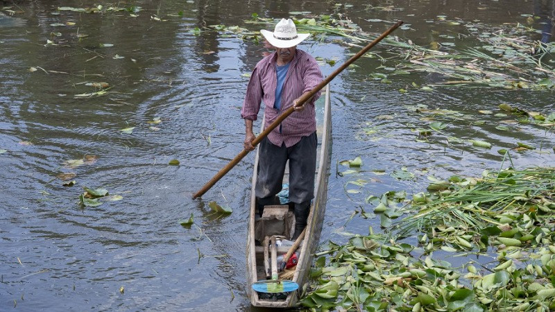 Avanza recuperación del canal de Erongarícuaro con trabajo de manos michoacanas