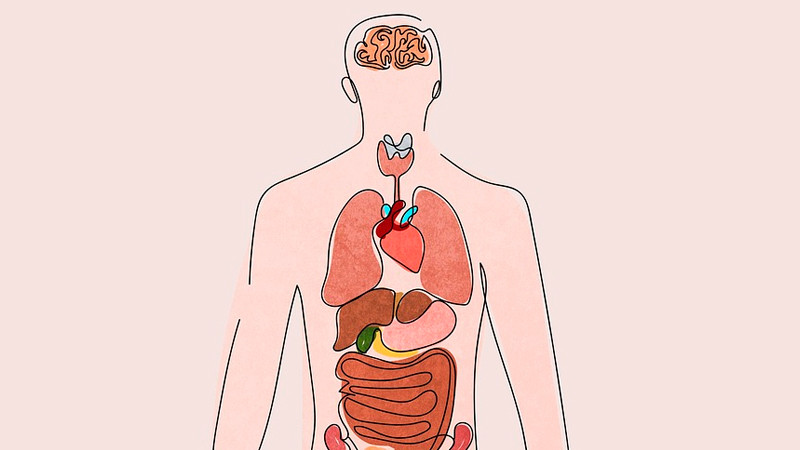 En Irlanda todas las personas serán donantes de órganos