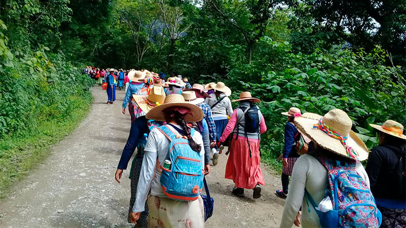 Estima Diócesis de Querétaro un incremento de entre 8 y 10% en la asistencia a la peregrinación del Tepeyac 2025