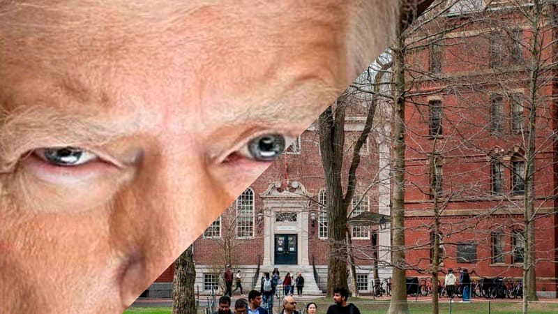 Bloquean indefinidamente veto de Trump a Harvard; ya pueden matricular estudiantes extranjeros
