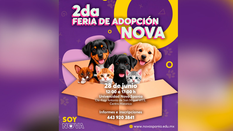  Invitan a segunda feria de adopción y venta con causa este sábado en el Centro de Morelia