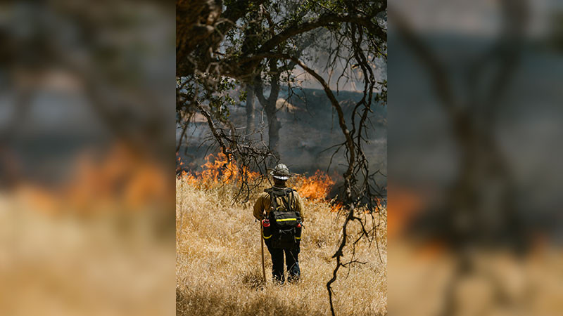 Alrededor de 401 incendios forestales activos azotan a Canadá; México envía apoyo 