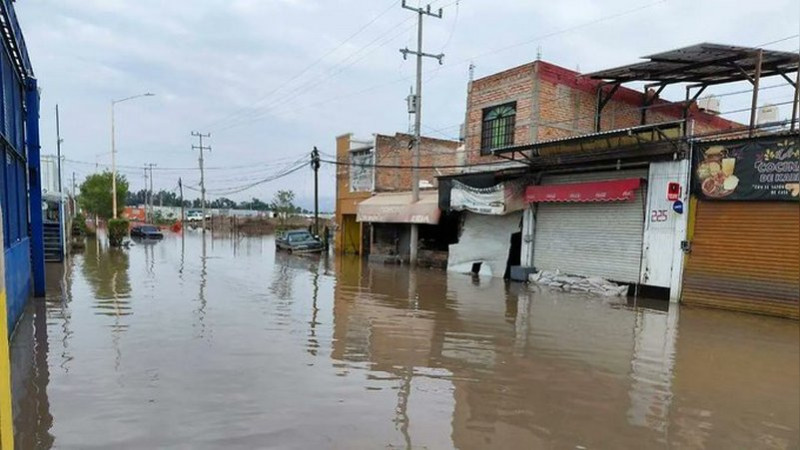 Lluvia deja inundaciones y caída de árboles en Guadalajara, Jalisco