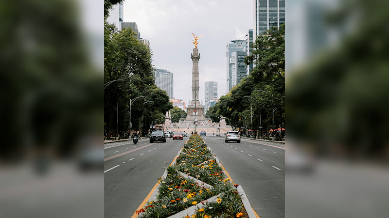 En Paseo de la Reforma reportan el hallazgo de cráneos pequeños; al parecer son del siglo XVIII 